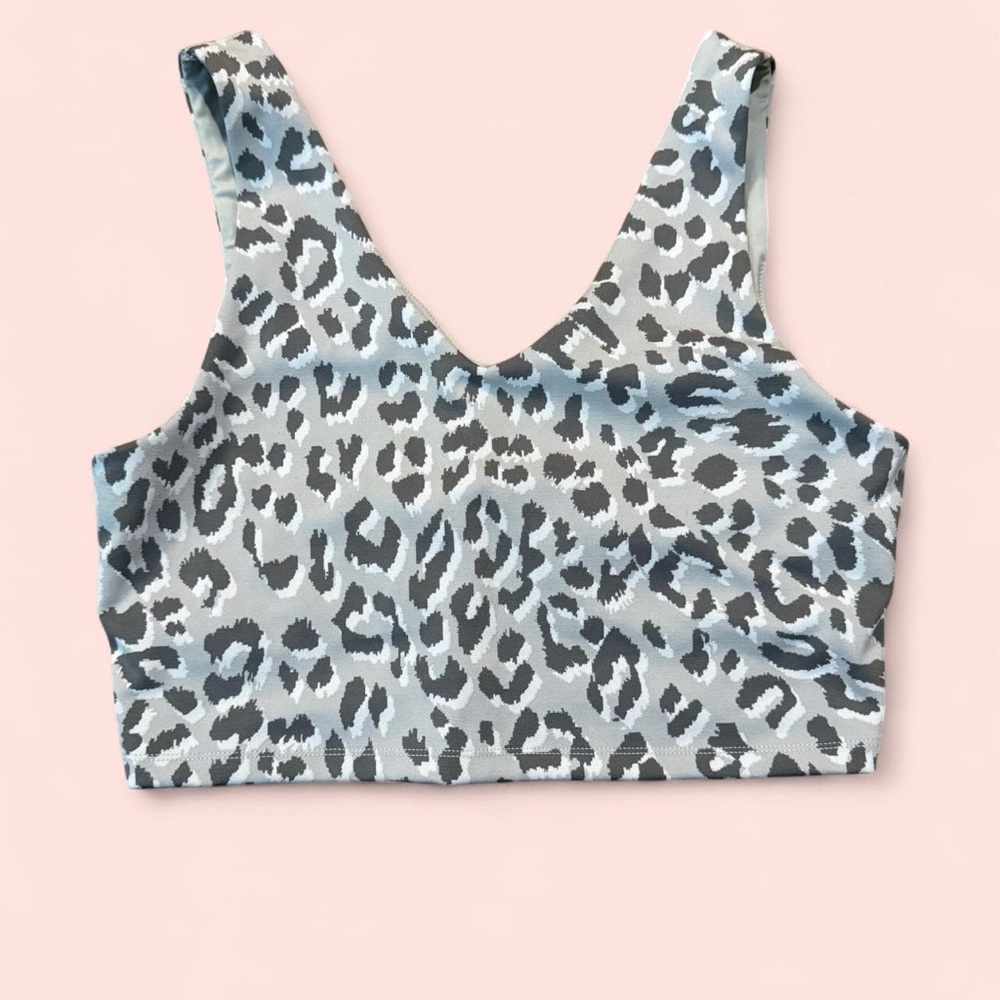 Aerie Leopard Print Crop Top